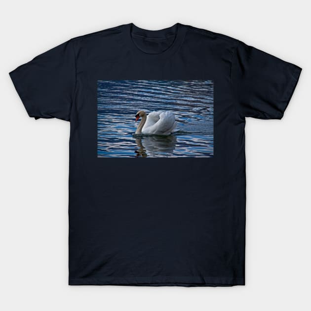 The Swan of lake Bled T-Shirt by vadim19